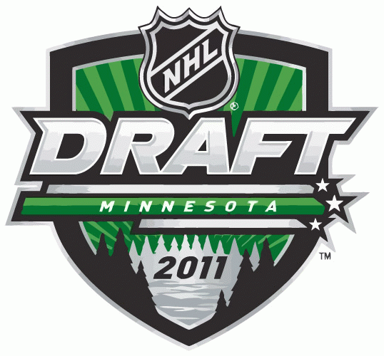 NHL Draft 2011 Primary Logo t shirts iron on transfers